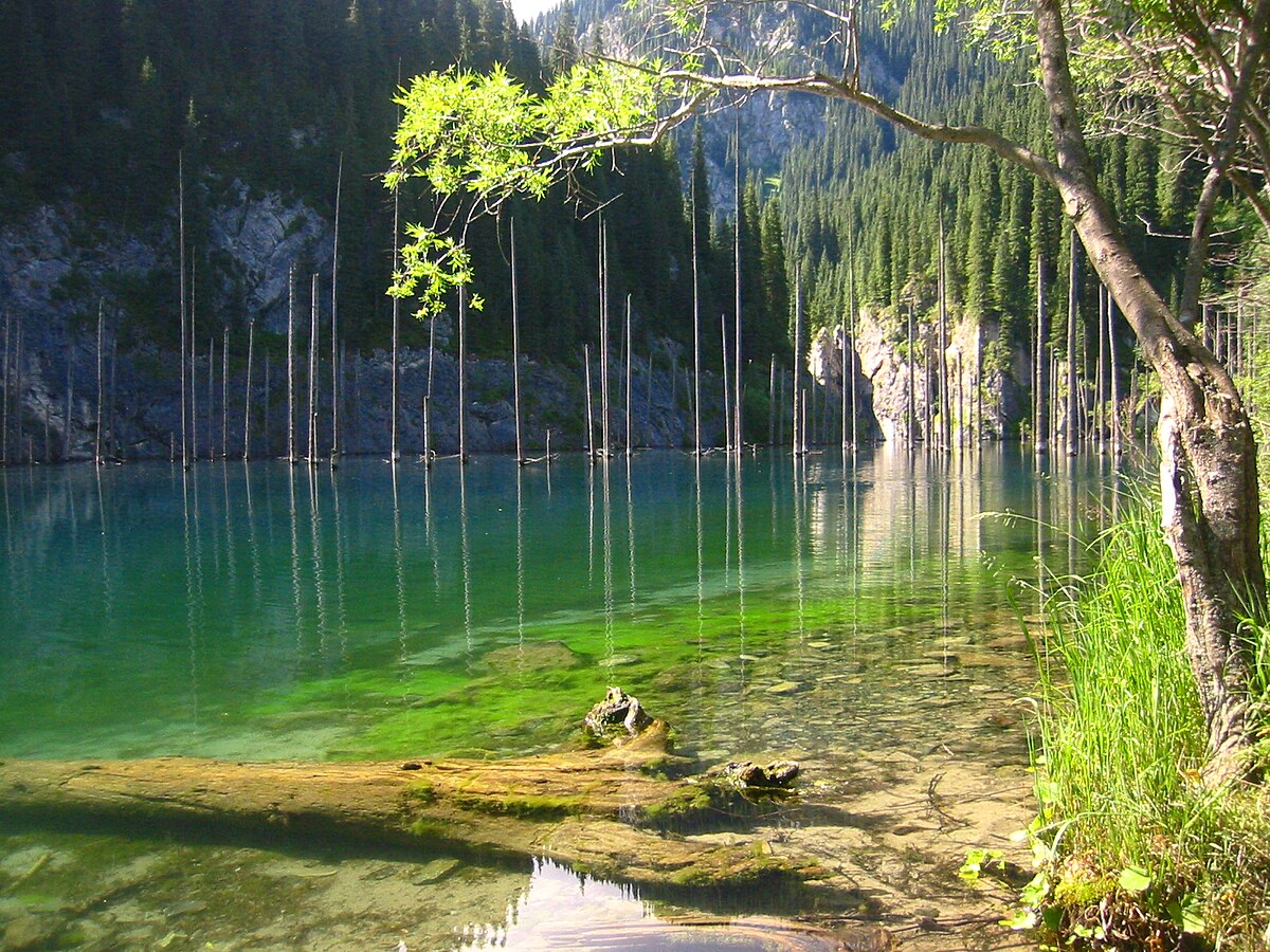 Image 8